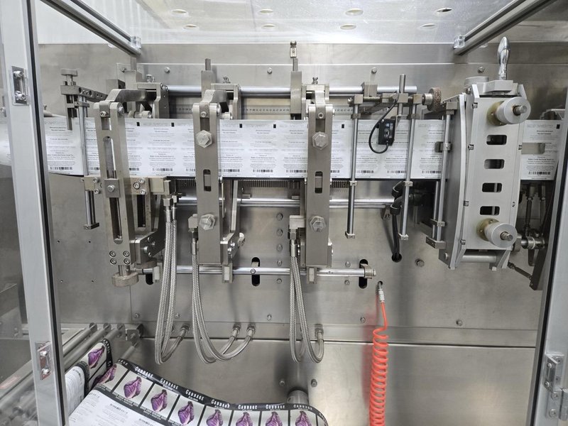 Shanghai Huacheng 180N Form Fill and Seal Machine, 2020