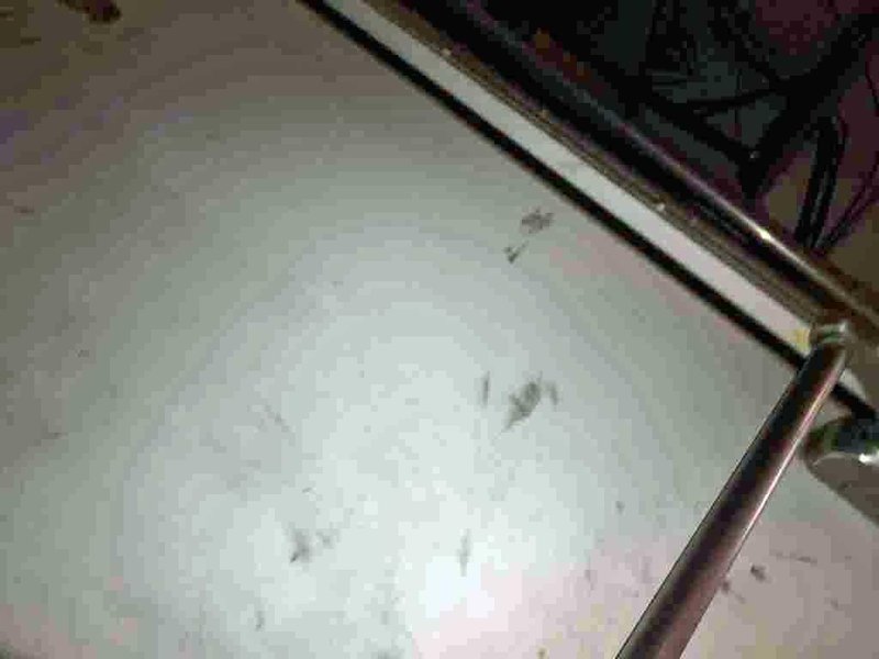 64.75" x 50,000# Pro Eco Tension Level / Slitting Line