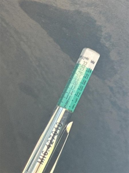 2020 Freightliner Cascadia LC1672