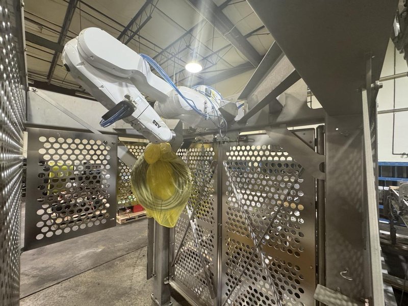 Tortilla Unstacking/Placing System w/ twin ABB IRB 1200 hygienic robots, 2022 – never used-sanitary wash down