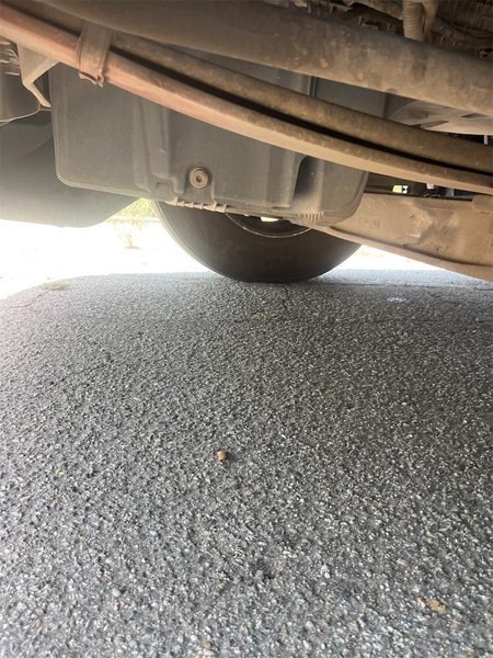 2023 Peterbilt 579 1XPBDP9X7PD879911