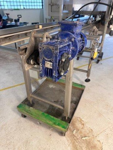 GEGE Harvesting System with VBE Bandsaw and Conveyor, 2019