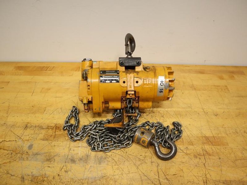 Ingersoll Rand ML250K-2C10-C6 Air Chain Hoist | 1/4 Ton Capacity 550 lbs 10ft Lift- Auction Item