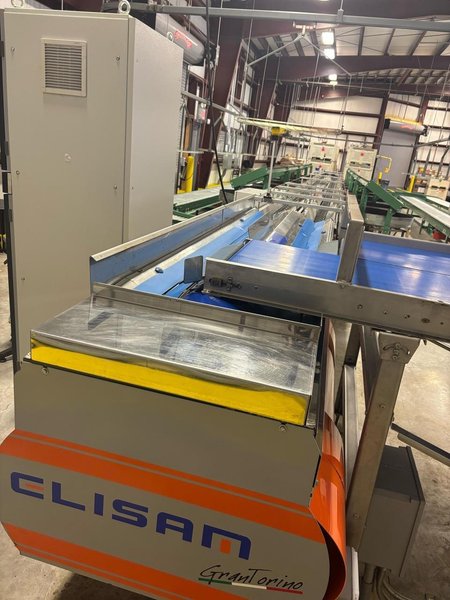 Automated Fruit Packing Line – Durand-Wayland + Elisam – Bin Tipper, Sizer, Optical Sorter – 2021