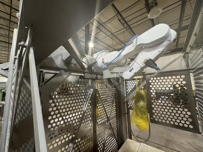 Tortilla Unstacking/Placing System w/ twin ABB IRB 1200 hygienic robots, 2022 – never used-sanitary wash down