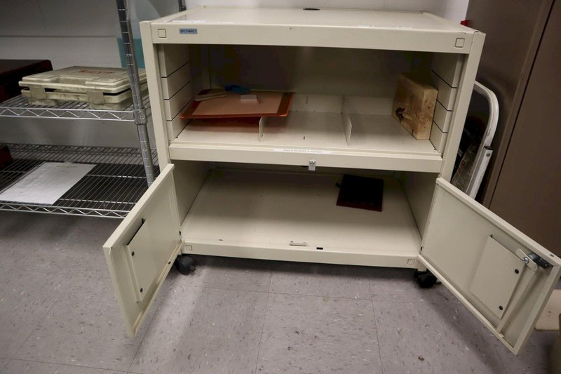 Rolling Metal Cabinet with Under Shelf and 2 Door Bottom- Auction Item