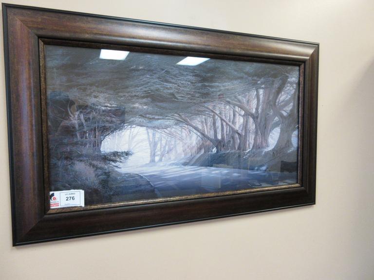 Wall Art, Ballymoney Ireland Wooded Roadway Scene 45.5"x18.75"- Auction Item