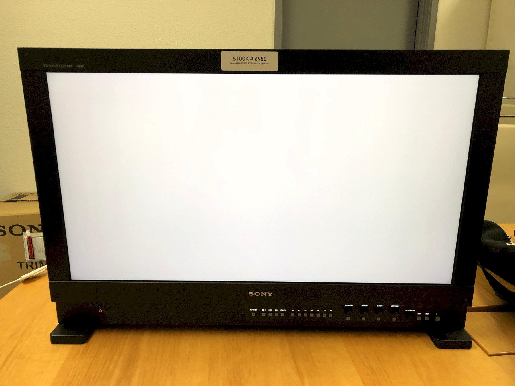 Sony BVM-HX310 31