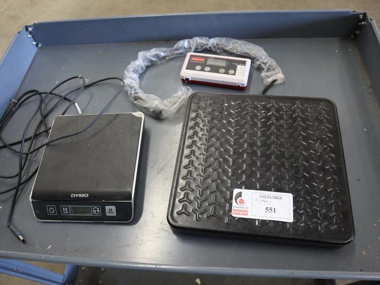 Electronic Scales: Rubbermaid 150Lb Battery Powered Scale and Dymo M10 10 Lb (2g Resolution) Scale- Auction Item